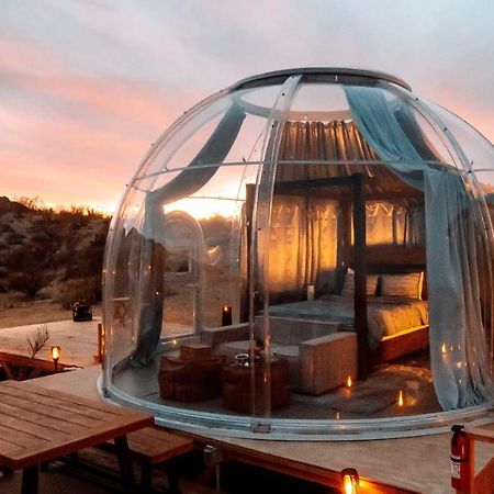 Jthavn-Joshua Tree Remote Dessert Bubble Dome Екстер'єр фото
