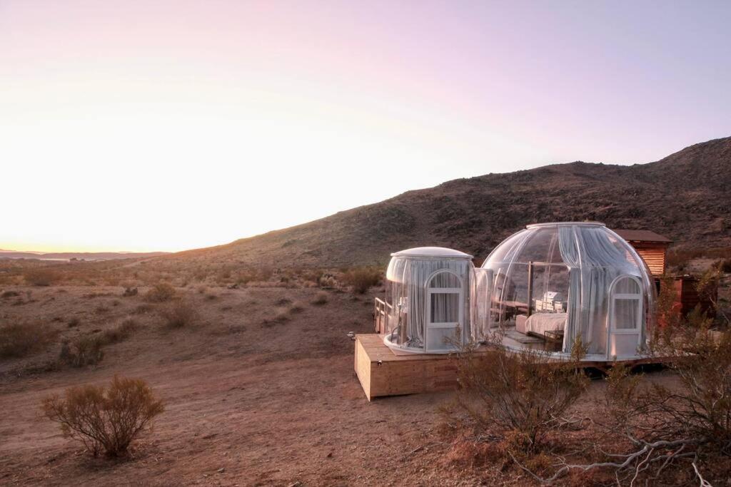 Jthavn-Joshua Tree Remote Dessert Bubble Dome Екстер'єр фото
