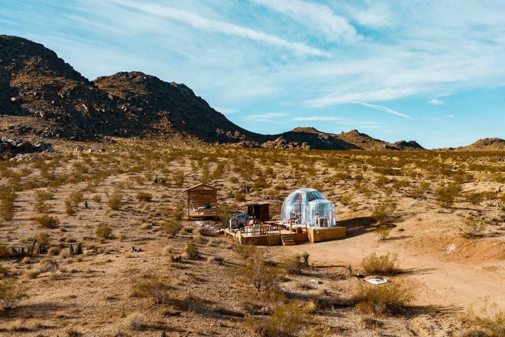 Jthavn-Joshua Tree Remote Dessert Bubble Dome Екстер'єр фото
